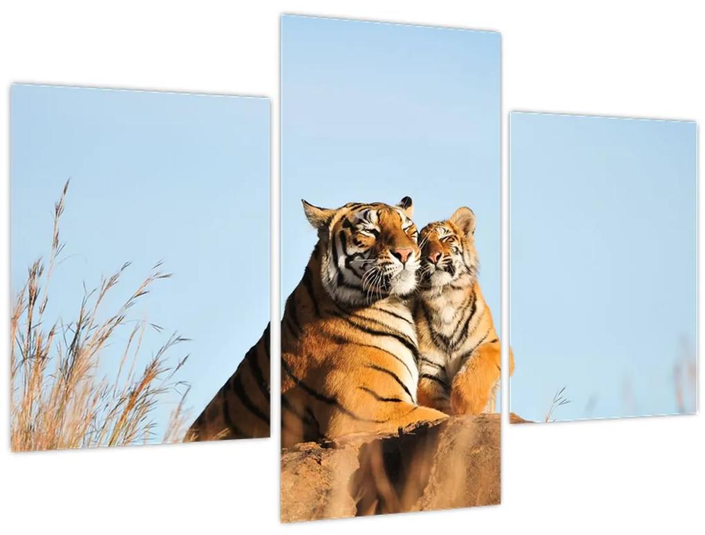 Obraz - Tigrice a jej mláďa (90x60 cm)
