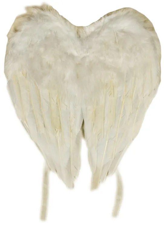 DECOLED Anjelské krídla, 30 x 27 cm, biela