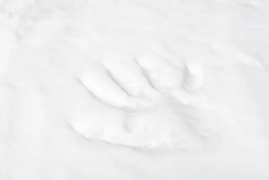 Koberec RABBIT FUR biely kruh