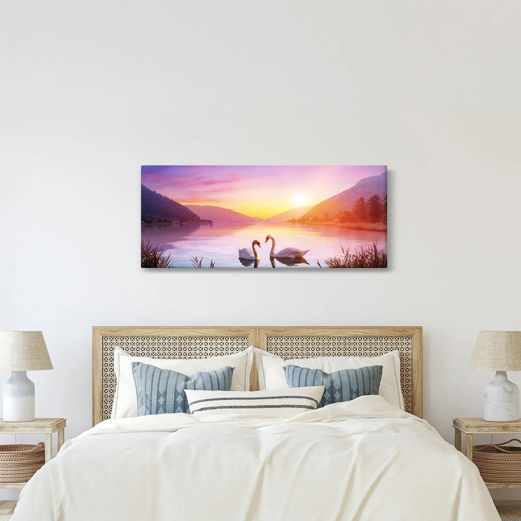 Obraz zamilovaných labutí (120x50 cm)