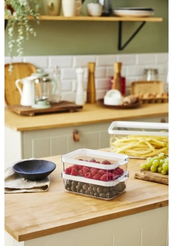 Rotho Organizér do chladničky s vekom a špeciálnou podložkou 1,2l CAUMA