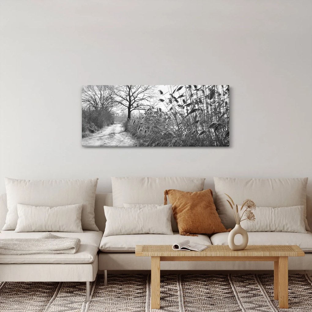 Obraz - Pole v zime (120x50 cm)