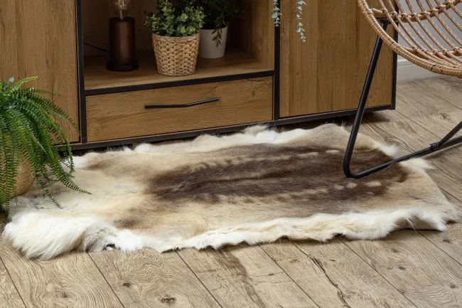 Koberec RENIFER POK016 hnedý / béžový