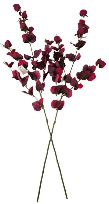 Sada jesenných vetvičiek eukalyptu, 95 cm, 2 ks