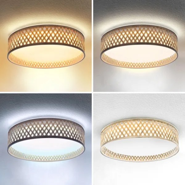 Brilagi - LED Stmievateľné stropné svietidlo CAMILA LED/48W/230V 3000-6500K + DO