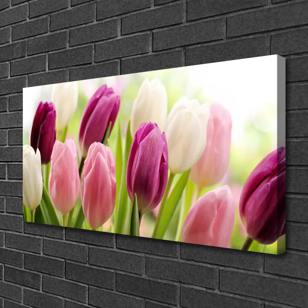 Obraz Canvas Tulipány kvety príroda lúka 120x60 cm