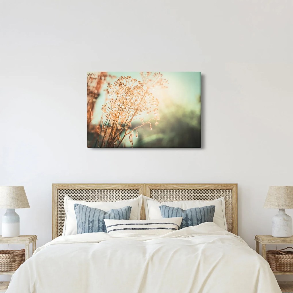 Obraz - Rastliny po daždi (90x60 cm)