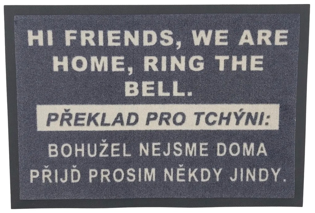 GDmats, Rohožka HI FRIENDS 40x60 cm – na von aj na doma, 40x60, šedá