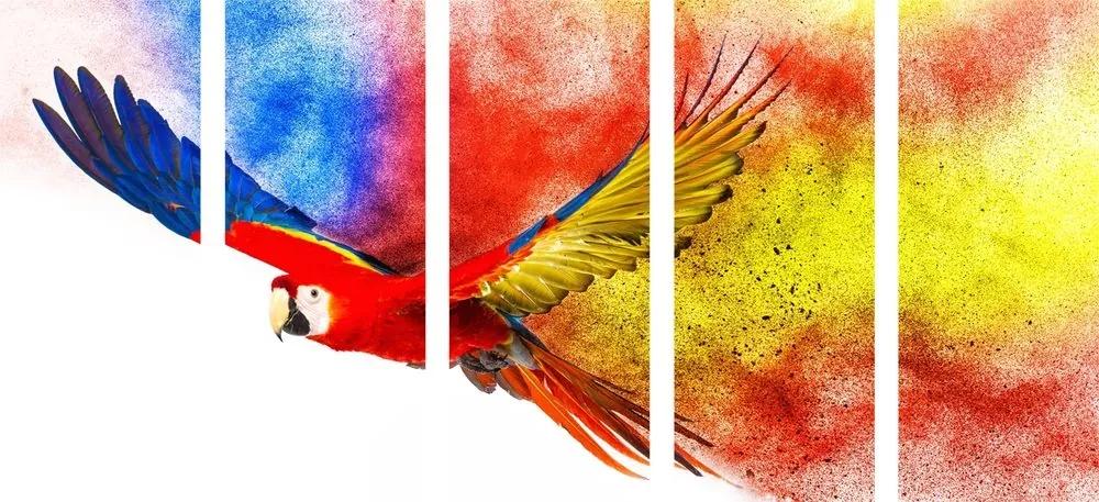 5-dielny obraz let papagája - 200x100