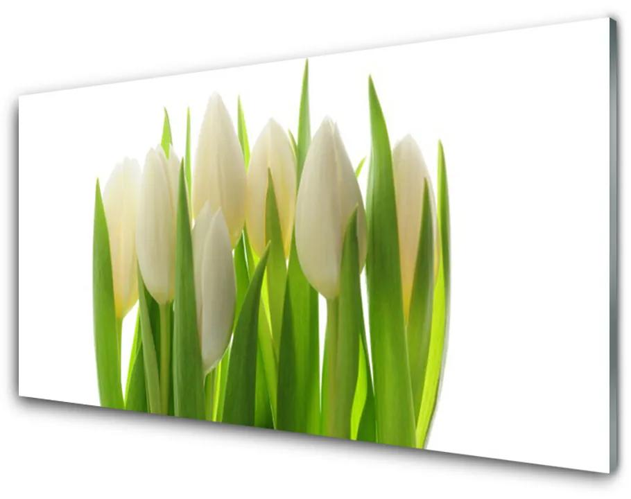 Obraz na skle Tulipány rastlina príroda 100x50 cm