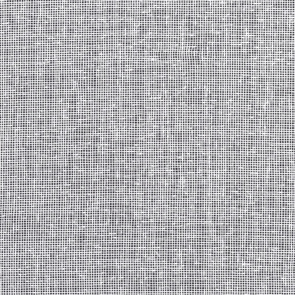ZÁCLONA NA PÁSKE ELPIDIA 350X250 CM BIELA