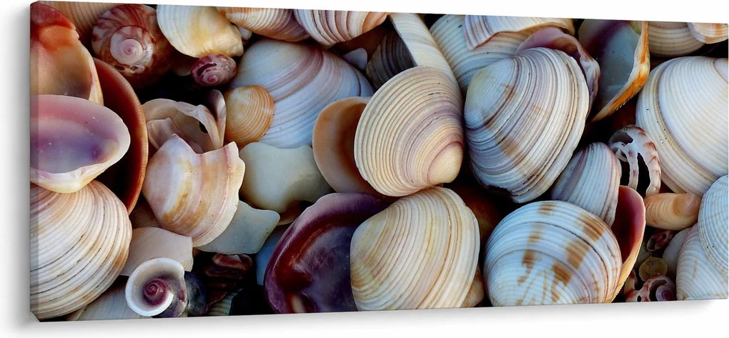 Obraz mušlí (120x50 cm)