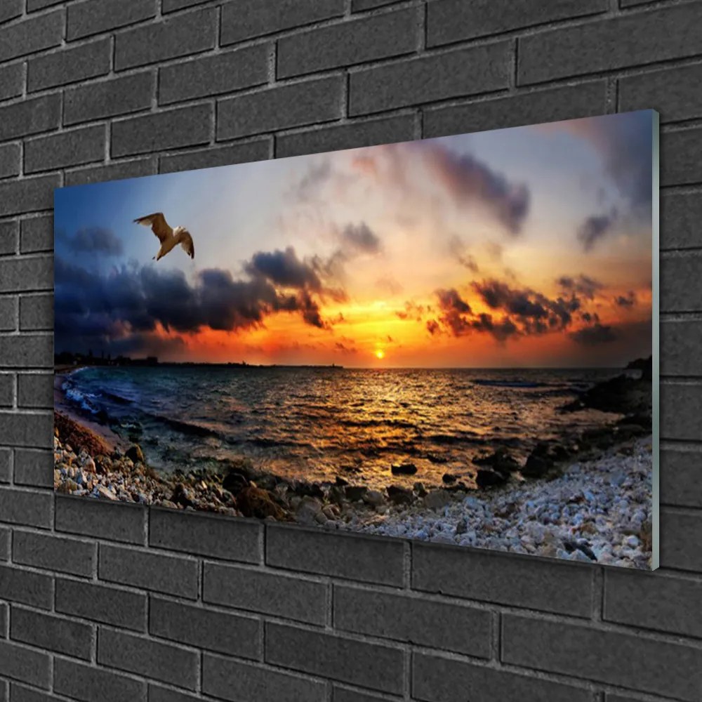 Obraz na skle Čajka more pláž krajina 140x70 cm