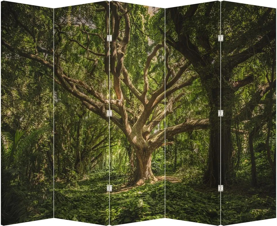 Paraván - Strom (210x170 cm)