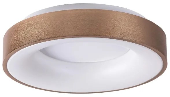 Rabalux 5052 - LED Stropné svietidlo CARMELA LED/30W/230V
