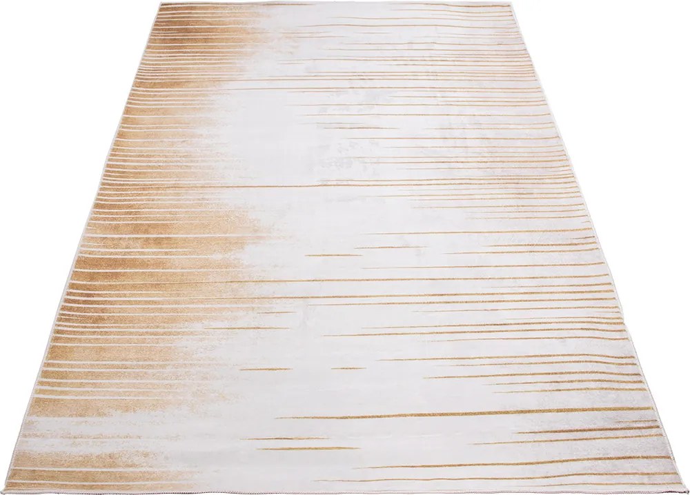 Koberec Canes KLXD220428 rozmery koberec: 160x230 cm
