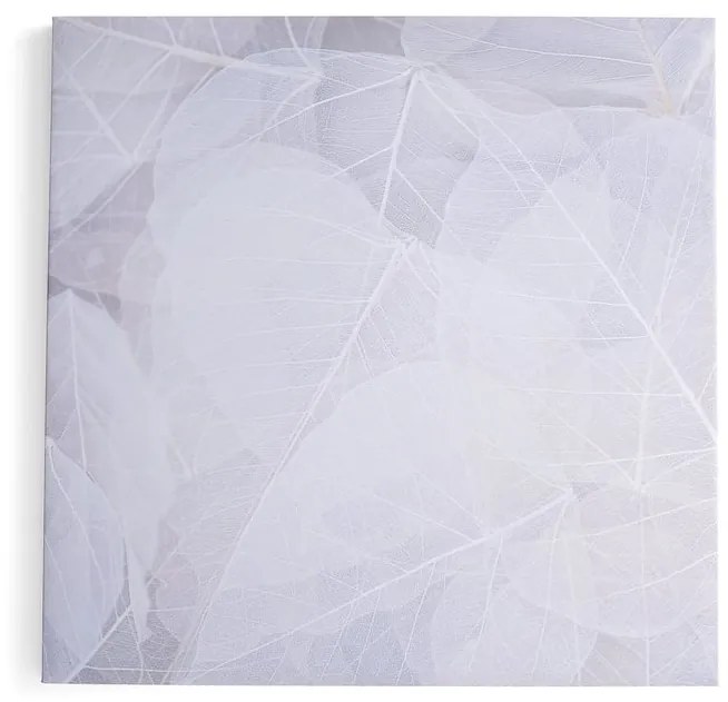 Akustický panel IMAGE, zimný list, 1200x1200 mm, béžová