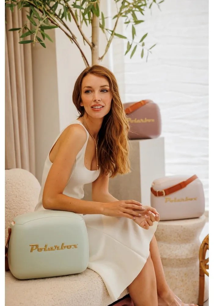 Chladiaci box sivozelený 6 l Classic Gold – Polarbox