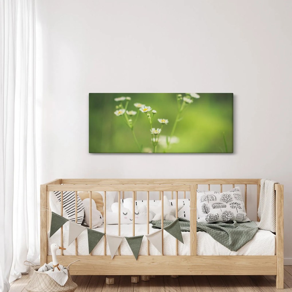Obraz Sedmokrásky (120x50 cm)