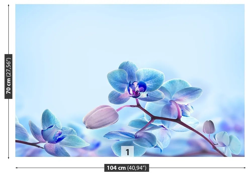 Fototapeta Vliesová Tropické orchidey 152x104 cm