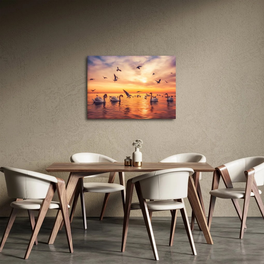 Obraz - Labute (70x50 cm)