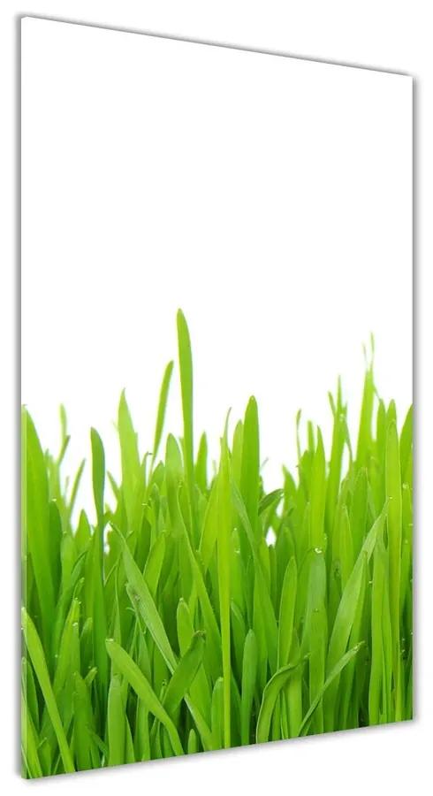 Foto obraz akrylový do obývačky Zelená tráva pl-oa-70x140-f-78248297