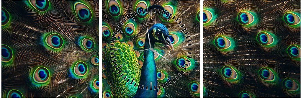 Obraz – Páv (s hodinami) (90x30 cm)
