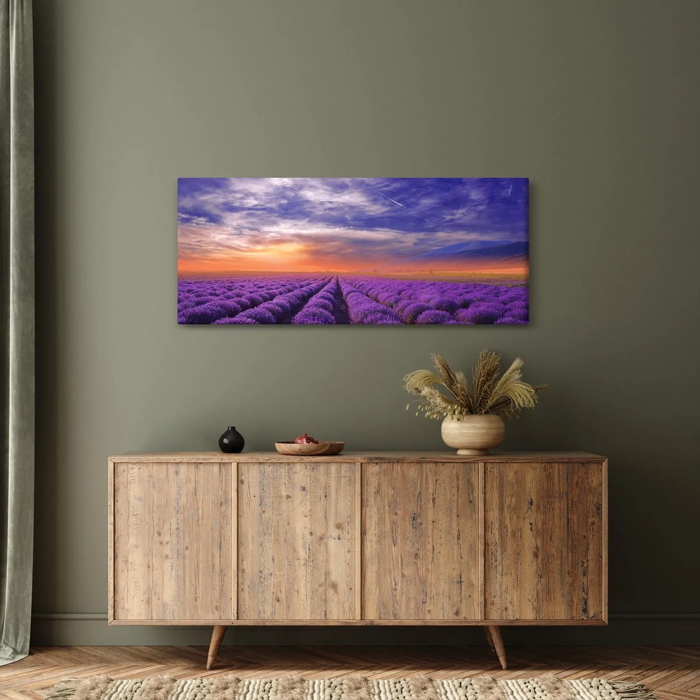 Obraz levanduľového pole (120x50 cm)