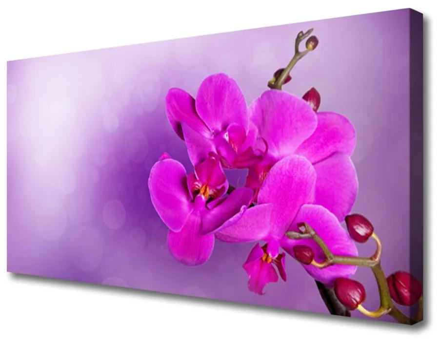Obraz Canvas Kvety plátky orchidea 120x60 cm
