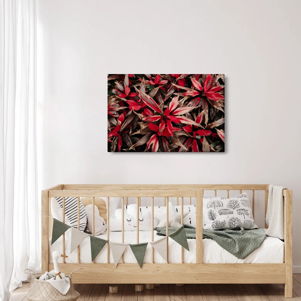 Obraz červených okvetných lístkov (90x60 cm)