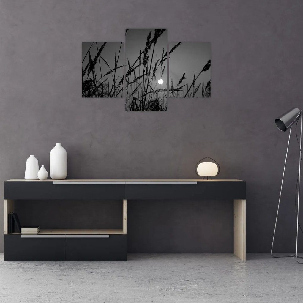 Obraz - Lúka so západom slnka (90x60 cm)