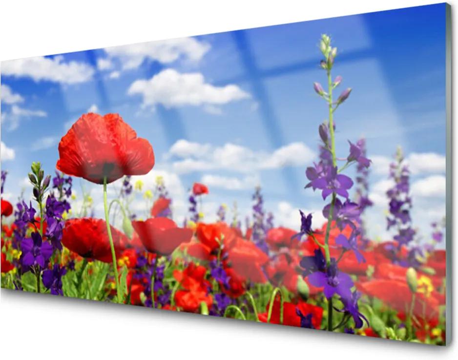 Obraz na skle Skleněný květiny