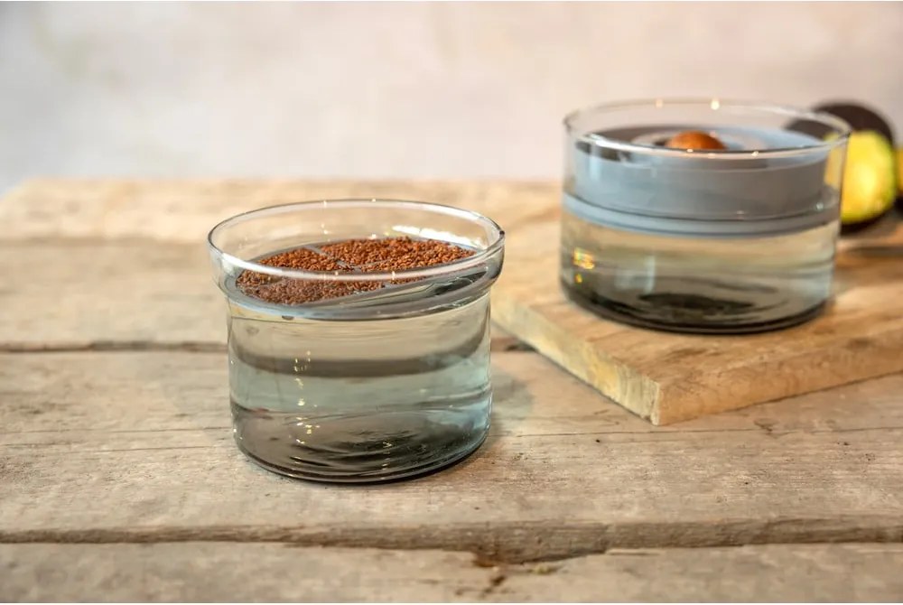 Sklenená klíčiaca miska na bylinky ø 12 cm – Esschert Design