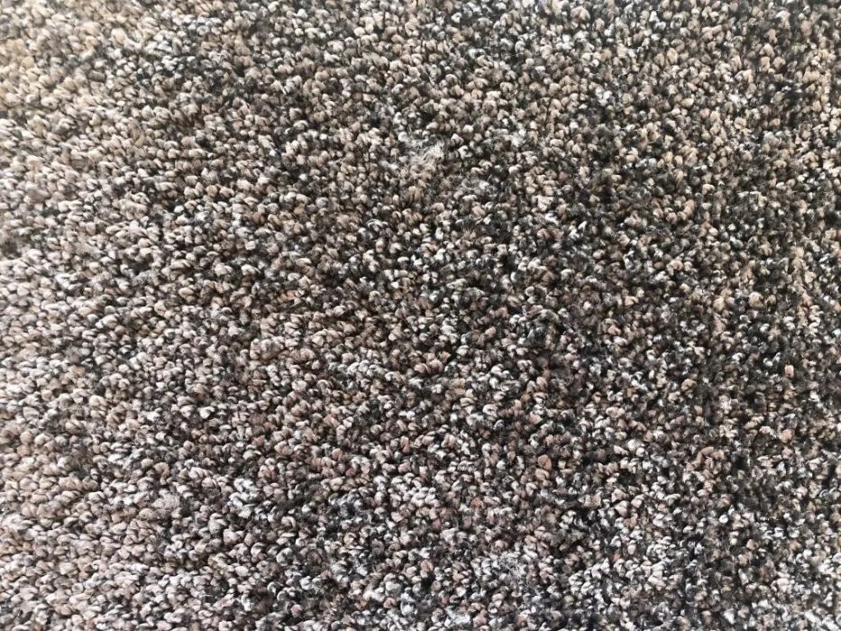 Vopi koberce Kusový koberec Capri hnědý - 400x500 cm