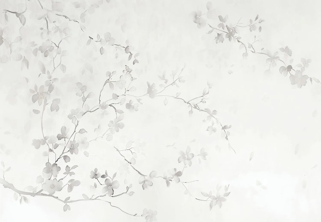 Fototapeta - Minimalistické kvety (147x102 cm)