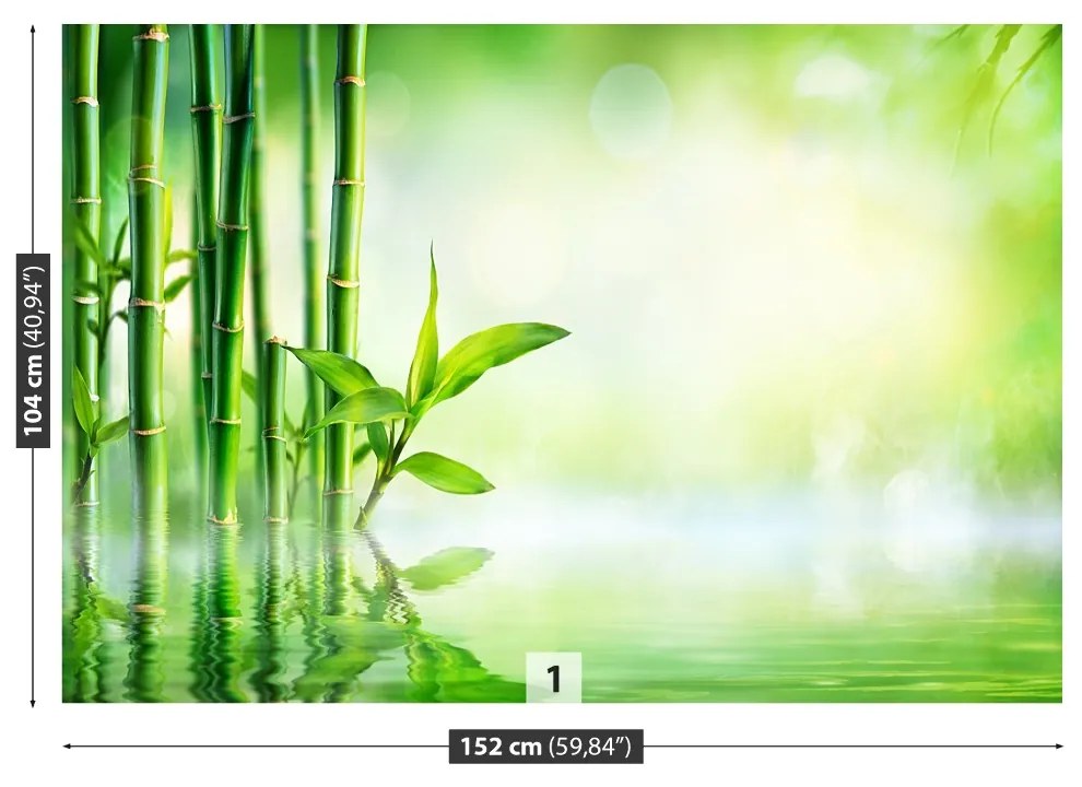 Fototapeta Vliesová Bambusová voda 152x104 cm