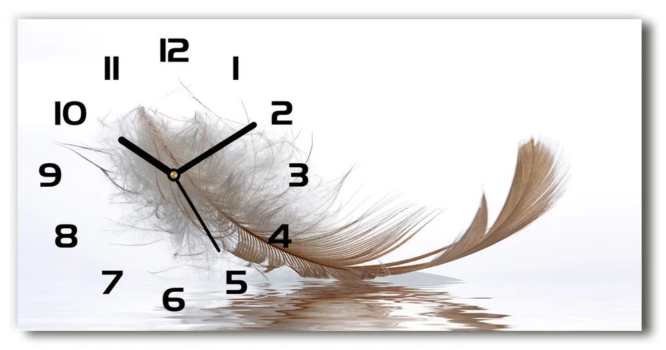 Vodorovné Sklenené hodiny na stenu Pírko na vode pl_zsp_60x30_f_77181591