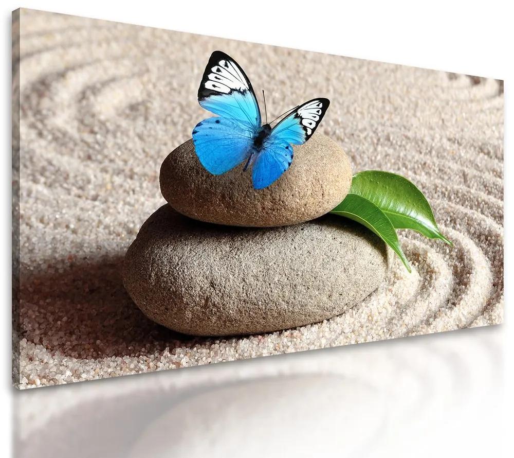 Obraz nádherný motýľ vo wellness zátiší