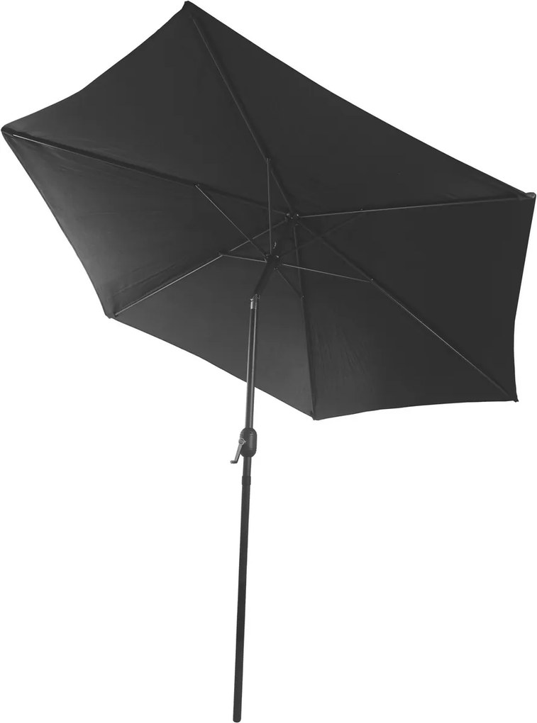 SADA Ruby DARK FIELDMANN