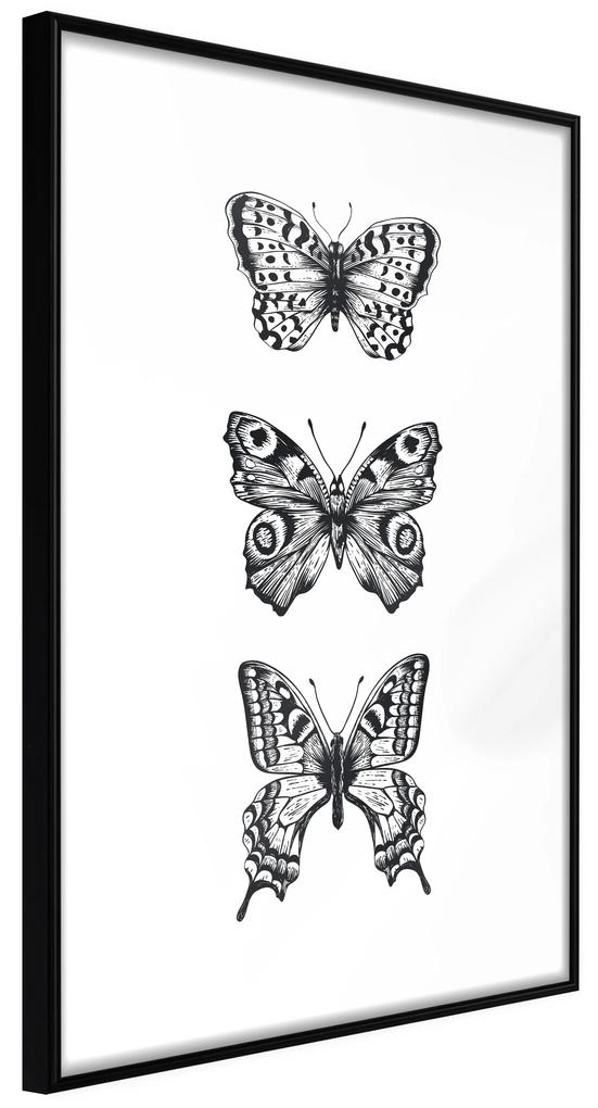 Artgeist Plagát - Three Butterflies [Poster] Veľkosť: 30x45, Verzia: Čierny rám