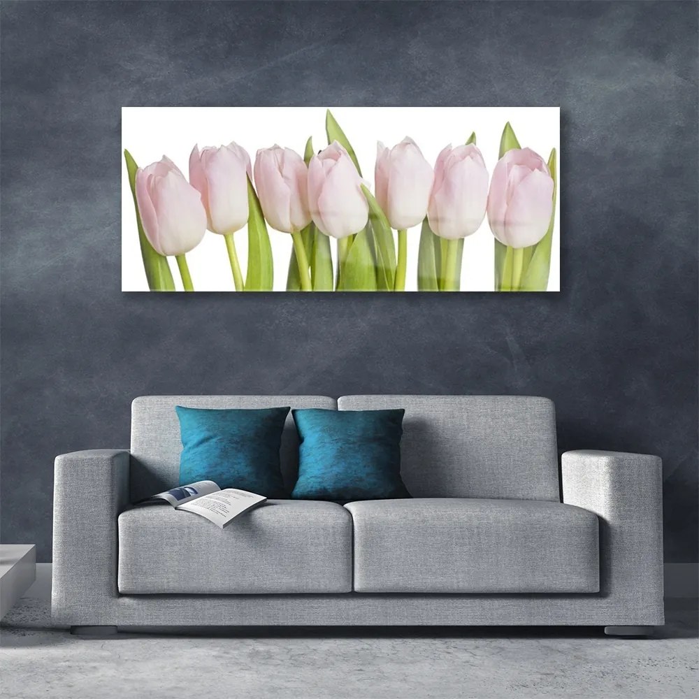 Obraz plexi Tulipány kvety rastlina 125x50 cm