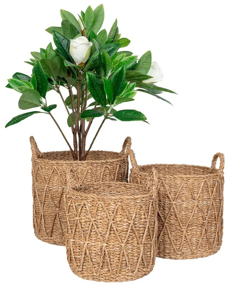 Košíky v súprave 3 ks z morskej trávy ø 32x30 cm Krabi – House Nordic