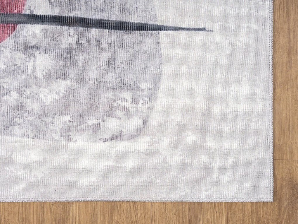 Kusový koberec Jordan CA30015 grau – na von aj na doma, 160x230, viacfarebná, chodba / predsieň, My Flair