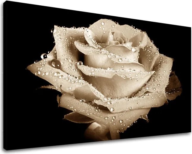 Obraz na stenu KVETY RUŽE XOBKV109E11 - 20x30 cm