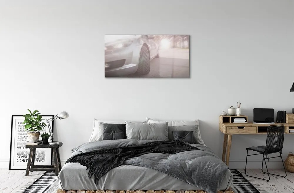 Obraz na skle Strieborné auto street tree 100x50 cm
