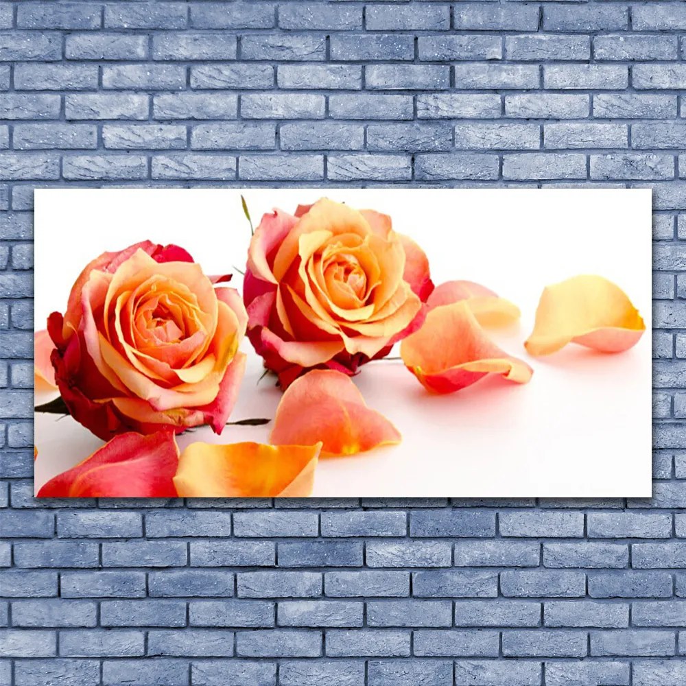 Obraz Canvas Ruže kvety rastlina 140x70 cm