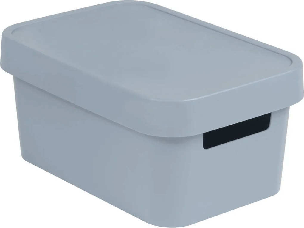 Curver Infinity 229387 Box 4,5 l, sivý