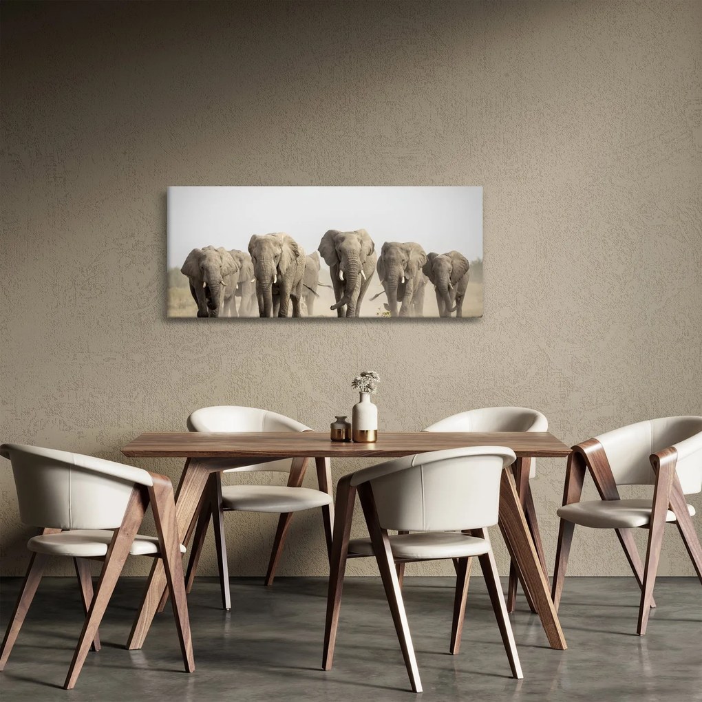 Obraz - Slonie stádo (120x50 cm)