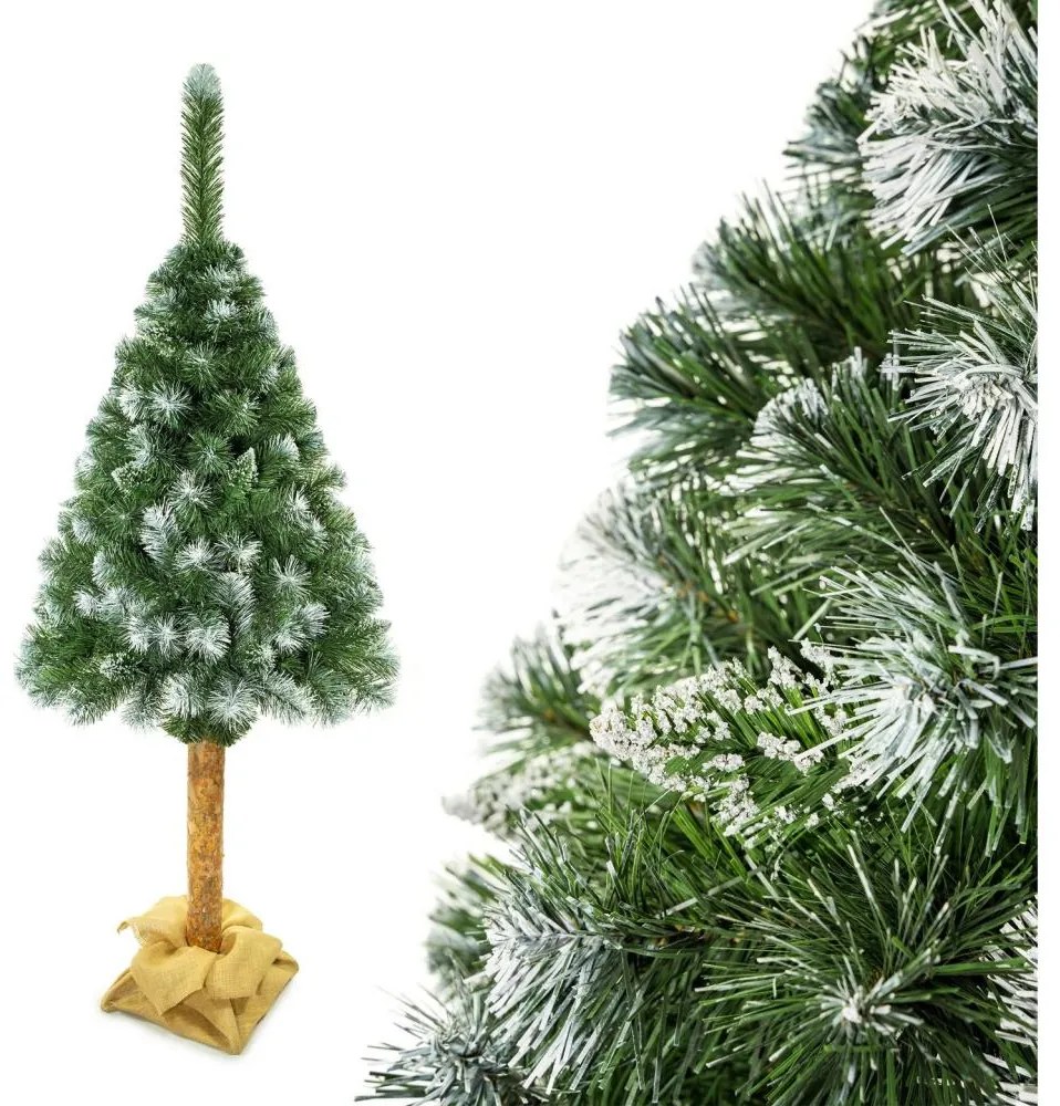 Vianočný stromček na kmeni 180 cm borovica