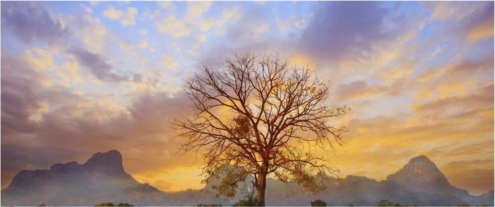 Obraz - Krajina so slnečnicami (120x50 cm)